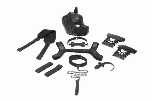 Набор BDSM щенка Master Series Luxury Pup Arsenal Set - Black, фото 1