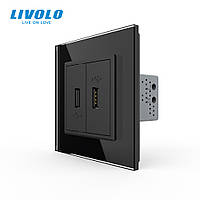 Розетка подвійна USB з блоком живлення Livolo чорний скло (VL-C792U-12)