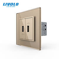 Розетка подвійна USB з блоком живлення Livolo золото скло (VL-C792U-13)
