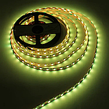 LED стрічка LED-STIL 14,4 W, 5050, 60 шт, IP33, RGB, 24V, фото 2