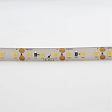 LED стрічка LED-STIL 4000K, 9,6 W, 2835, 120 шт, IP65, 12V, фото 4