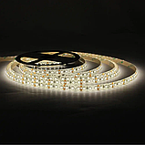 LED стрічка LED-STIL 4000K, 9,6 W, 2835, 120 шт, IP65, 12V, фото 2