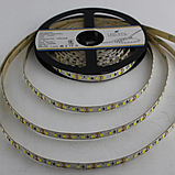 LED стрічка LED-STIL 9,6 W, 2835, 120 шт, IP33, 12V, лимонний колір світіння, фото 6