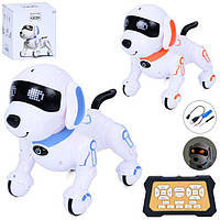 Р/у тварини та комахи