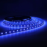 LED стрічка LED-STIL RGB+WW(2700K/6500K), 24 W, світлодіоди 5050, 620-630NM, 460-470NM,515-525NM, W2700, фото 2