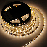 LED стрічка LED-STIL RGB+WW(2700K/6500K), 24 W, світлодіоди 5050, 620-630NM, 460-470NM,515-525NM, W2700, фото 6