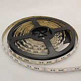 LED стрічка LED-STIL RGB+WW(2700K/6500K), 24 W, світлодіоди 5050, 620-630NM, 460-470NM,515-525NM, W2700, фото 9