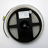 LED стрічка RN32C0TA-B, 4000K, 8,6W, 2835, 120 шт, IP67, 12V, 570LM, фото 5