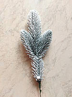 Соснова гілка зелена трійка в снігу