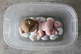 Находим оригинальную фигурку, с которой будет сниматься копия, и подходящий контейнер для формы по ширине и высоте, чтобы было растояние минимум 1 см по сторонам и в высоту