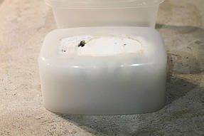 Пробуем, чтобы пальцы не прилипали к силикону, выдерживаем для полного набора прочности форму 24 - 72 ч. и затем достаем заготовку из контейнера