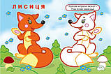 Упізнай і розфарбуй. Лисиця та єнот. Н. Фаттахова, фото 3