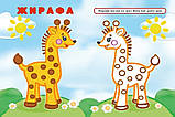 Упізнай і розфарбуй. Мавпочка і жираф. Н. Фаттахова, фото 4