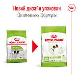 Royal Canin X-Small Adult сухий корм для дорослих собак дуже дрібних розмірів 0,5кг, фото 2
