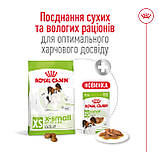 Royal Canin X-Small Adult сухий корм для дорослих собак дуже дрібних розмірів 0,5кг, фото 3