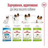 Royal Canin X-Small Adult сухий корм для дорослих собак дуже дрібних розмірів 0,5кг, фото 4