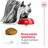 Royal Canin X-Small Adult сухий корм для дорослих собак дуже дрібних розмірів 0,5кг, фото 5