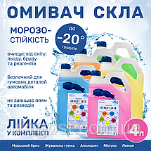 Очищувач скла Зимовий Фазеліс Premium Яблуко -20 °С 4 л, фото 6