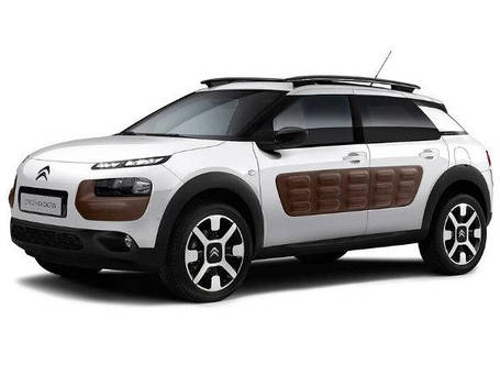 C4 Cactus 