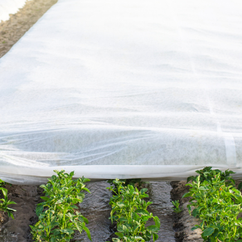 Укривні матеріали, чохли для рослин