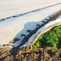 Укривні матеріали, чохли для рослин