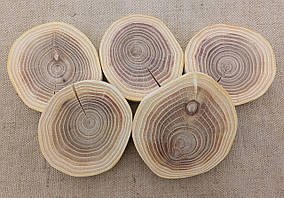 Зріз дерева для розпису,випалювання,d 70-80мм.5шт.