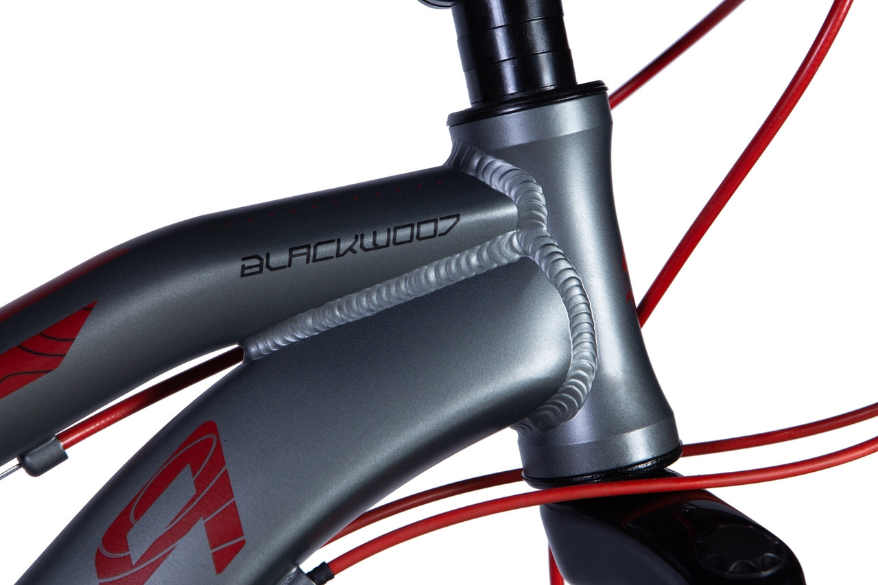 Велосипед AL 26" Formula BLACKWOOD AM DD FR рама-13" синій 2024, фото 1