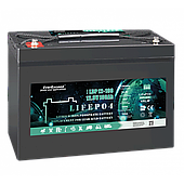Акумулятор LiFePO4 EverExceed LDP 12-100 (12.8V100AH)