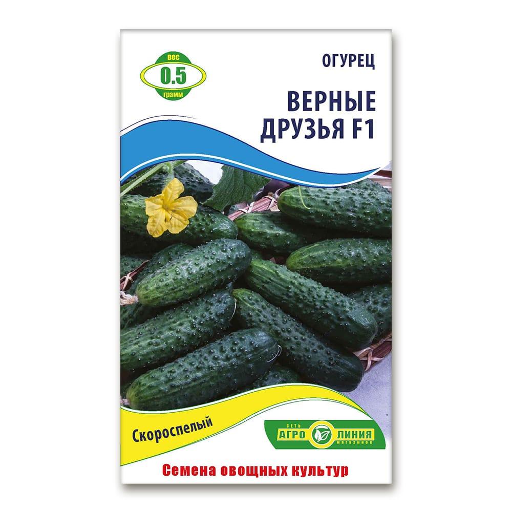 Насіння огірка Вірні друзі F1 0,5 г, Агролінія