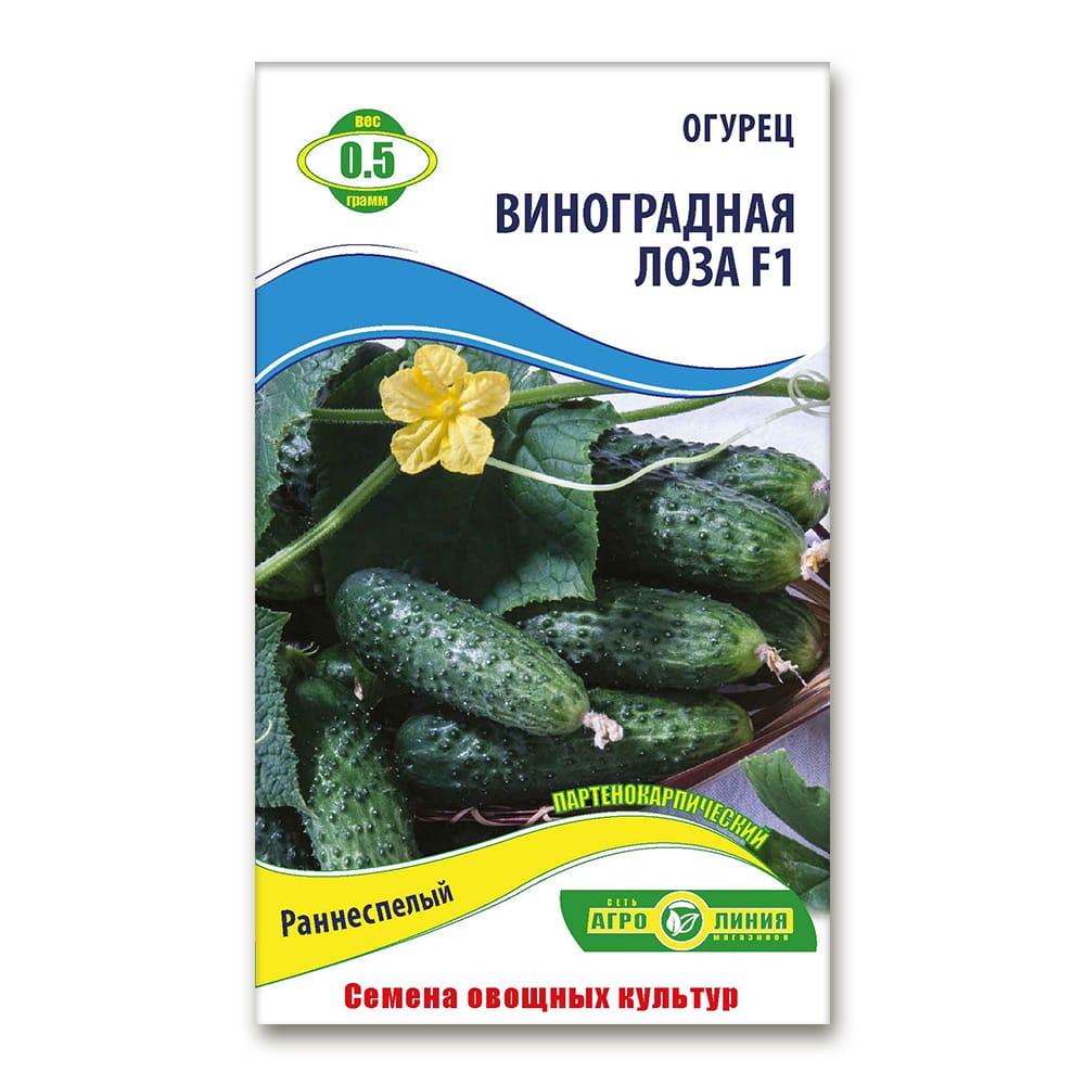Насіння огірка Виноградна лоза F1 0,5 г, Агролінія