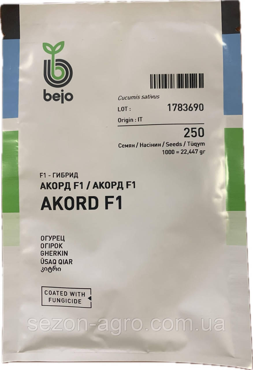 Огірок Акорд F1 250 н. Bejo Zaden