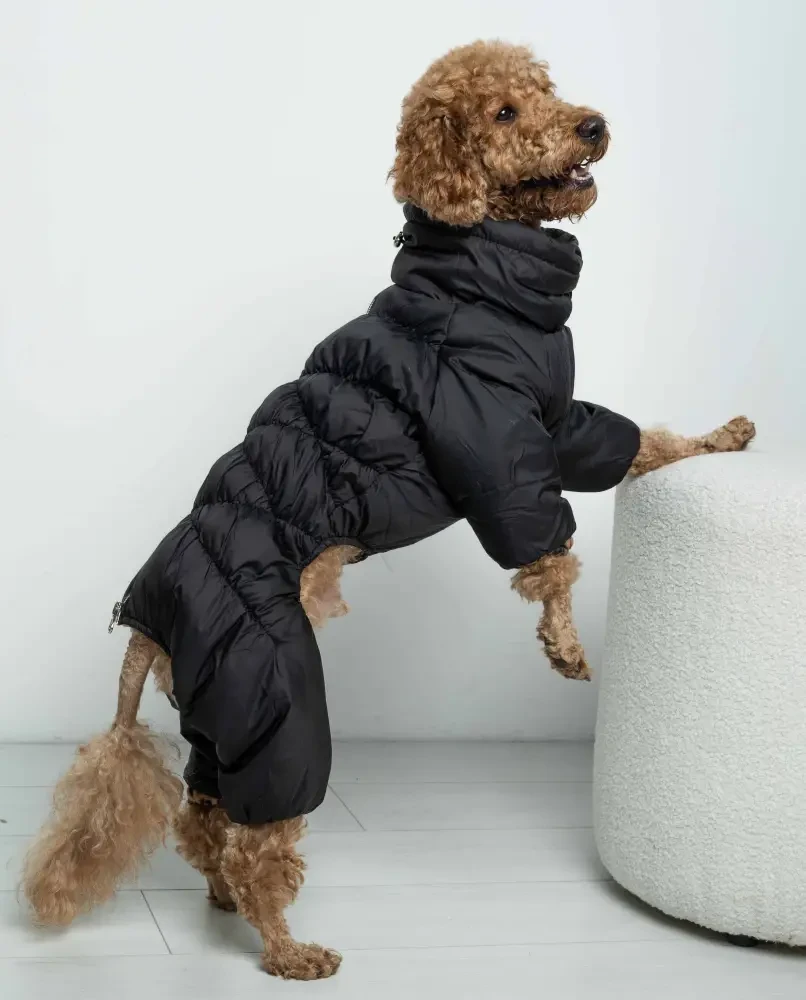 Комбінезон 40 см (об'єм до 64см) зимовий розм 7 Комфорт чорний для собак, фото 1