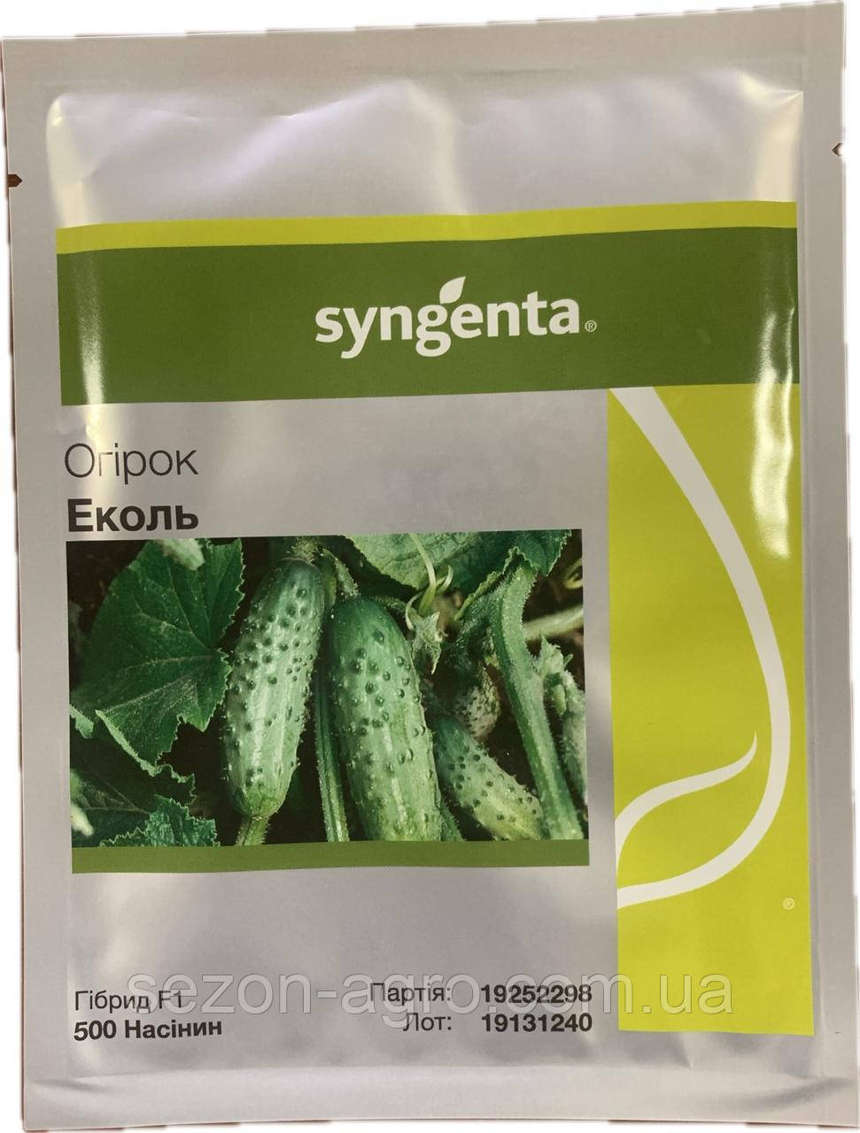 Огірок Еколь F1 500 н. Syngenta