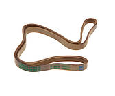 Ремінь Megadyne EL 1040 J5 білий для промислових машин передачі потужності та руху