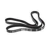 Ремінь Optibelt-RB PJ 1092 чорний для приводів високої надійності та міцності