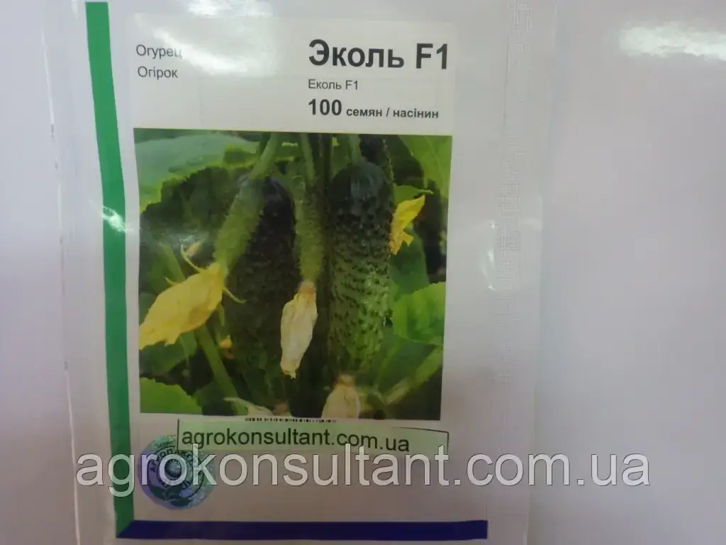 Насіння огірка Еколь F1 (Syngenta), 100 насінин — партенокарпик, ранній гібрид (40-44 дні)