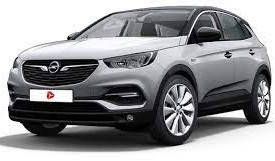OPEL Grandland X (2017-...)