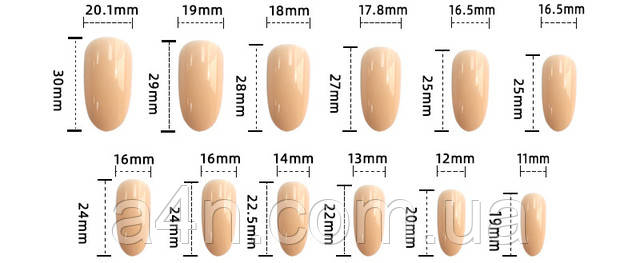 Размеры накладных ногтей