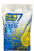 Насіння соняшника Ласса Стандарт під Євро-Лайтнінг 2024