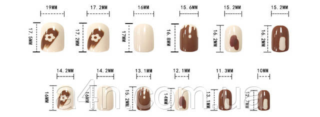 Накладные ногти - Интернет-магазин A4N Размеры накладных ногтей