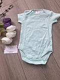Zara Боді на короткий рукав 1-3 місяці 62 см салатовий 1 шт, фото 2