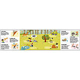 Місто: Чи знаєш ти, як у ньому поводитися? Радка Піро., фото 2