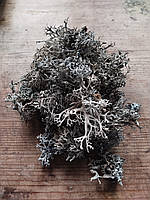 Ісландський мох карпатський 50г