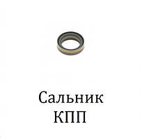 Сальник КПП