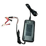 Акумулятор Louitton LiFePO4, 12 В, 100 А·год (1280 Вт·год) для UPS, фото 2