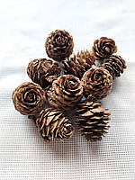 Шишки для декору 10шт