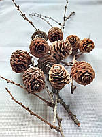 Шишки для декору 10шт