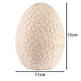 Набір розкопки яйце динозавра , 12 динозаврів Kruzzel 24981 Польща, фото 5