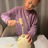 Набір розкопки яйце динозавра , 12 динозаврів Kruzzel 24981 Польща, фото 8