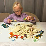 Набір розкопки яйце динозавра , 12 динозаврів Kruzzel 24981 Польща, фото 2